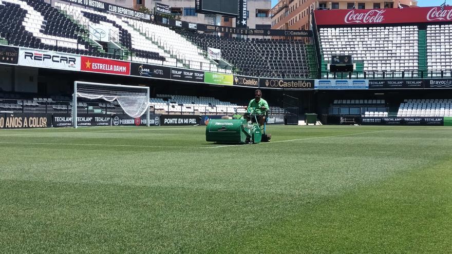 Castellón | Las cifras de la reforma del Estadio Castalia