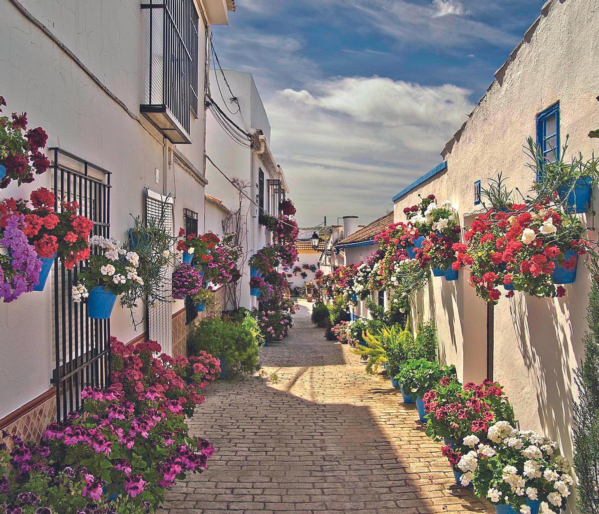 Calle Pozo Puente de Cañete de las Torres.