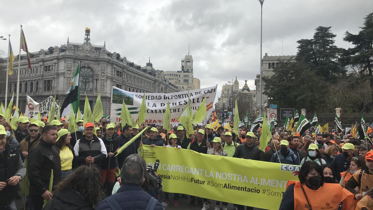 Una de les pancartes exhibides a la plaça Cibeles