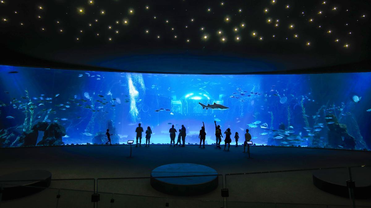 La instalación Deep Sea en Poema del Mar, en Gran Canaria