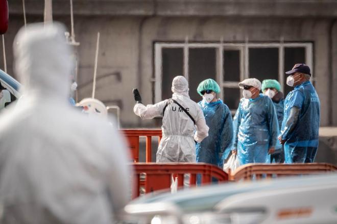 Argentina halla hantavirus en roedores en Ushuaia pero descarta nexo con brote de crucero
