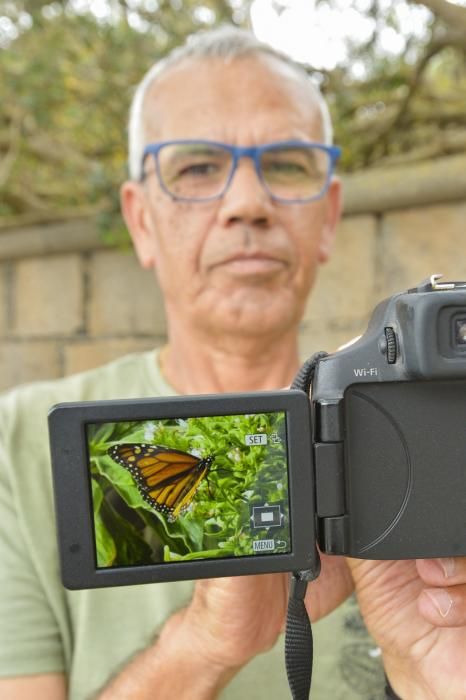 El Jardín Canario para evadirse del confinamiento