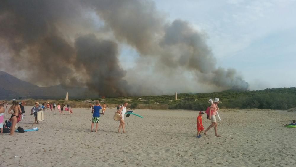 Im Gebiet von sa Canova im Nordosten von Mallorca ist am Mittwochnachmittag (17.8.) erneut ein Waldbrand ausgebrochen, nachdem es nur zwei Tage zuvor bereits gebrannt hatte. Das Feuer war gegen 2 Uhr nachts unter Kontrolle und zerstörte rund 23 Hektar Kiefernwald.