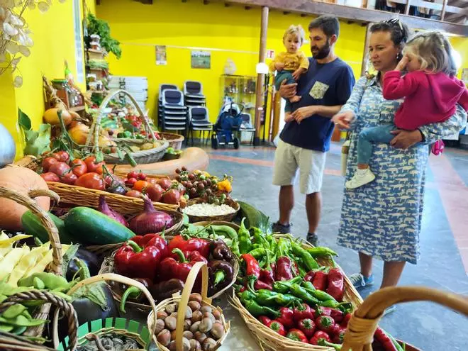 Quintes, entre hortalizas y plantas en una nueva exposición de la huerta