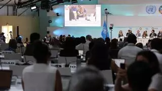 La cumbre de los océanos se rearma contra los planes de Trump de autorizar la minería submarina