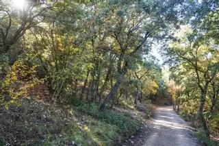 Tres espectaculares rutas para disfrutar de la naturaleza en Alicante