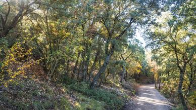 Tres espectaculares rutas para disfrutar de la naturaleza en Alicante