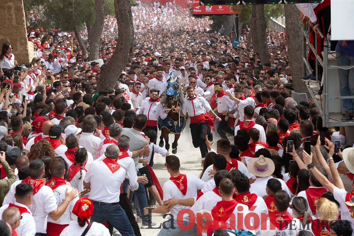 Así ha sido la carrera de los Caballos del Vino en Caravaca