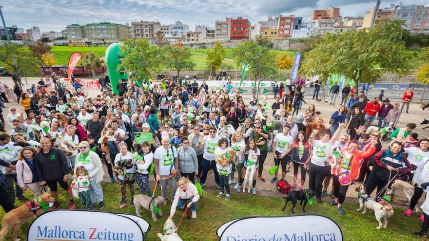 Llega la segunda edición de Can We Run para perros y dueños