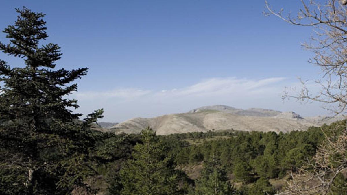 La Sierra de las Nieves.