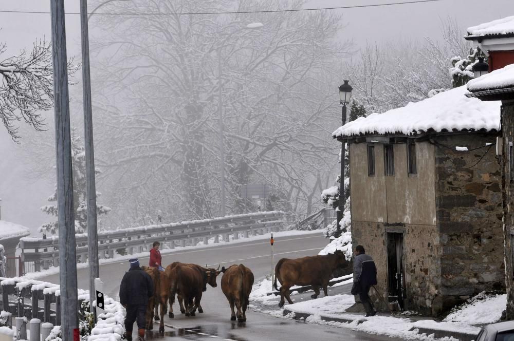 Las primeras nieves del otoño en Asturias