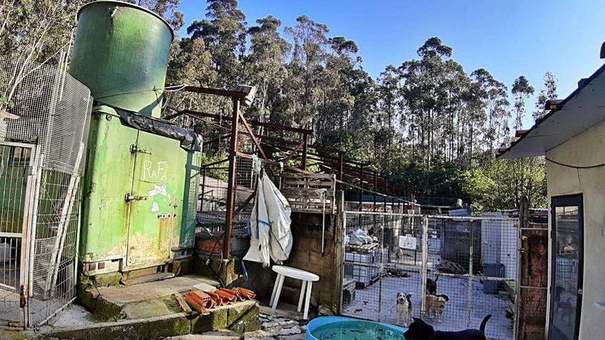 Una vista de la Protectora de Animales en Broullón.