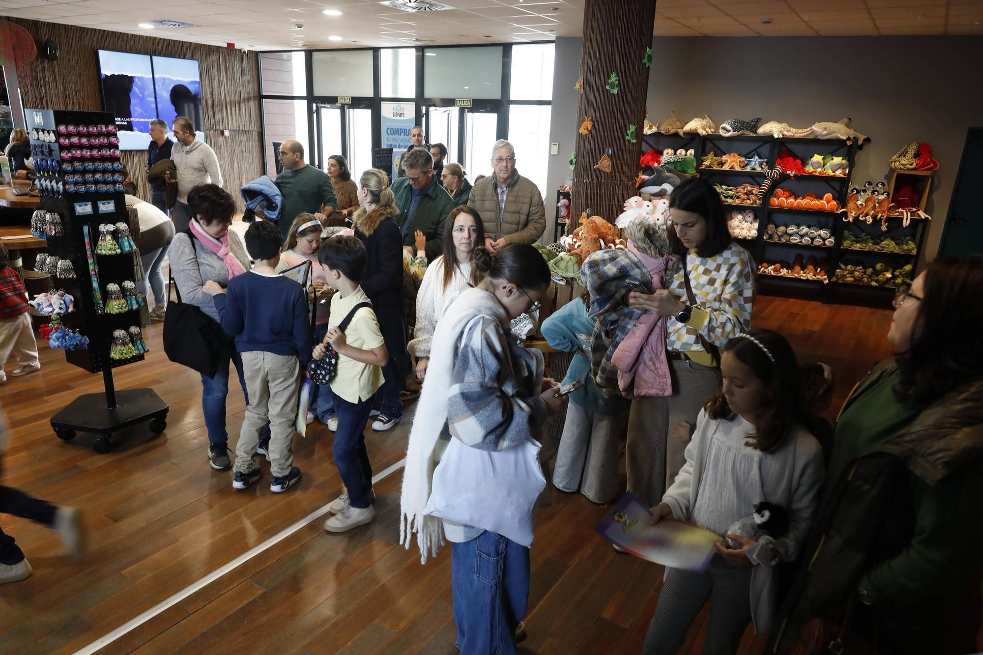 La charla telemática de El Anguleru con niños en el Acuario de Gijón, en imágenes