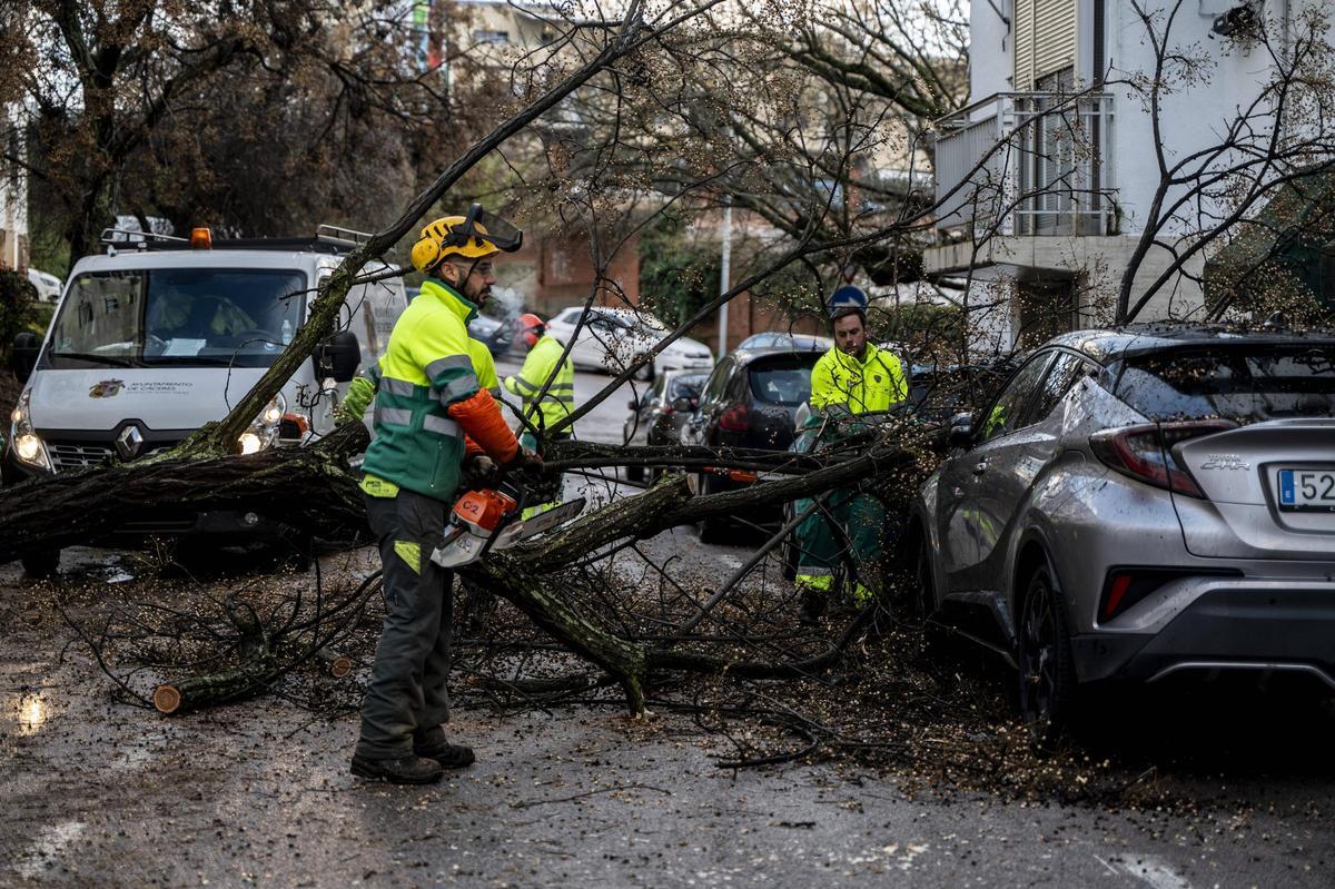 Fotogalería | El temporal en imágenes en Cáceres