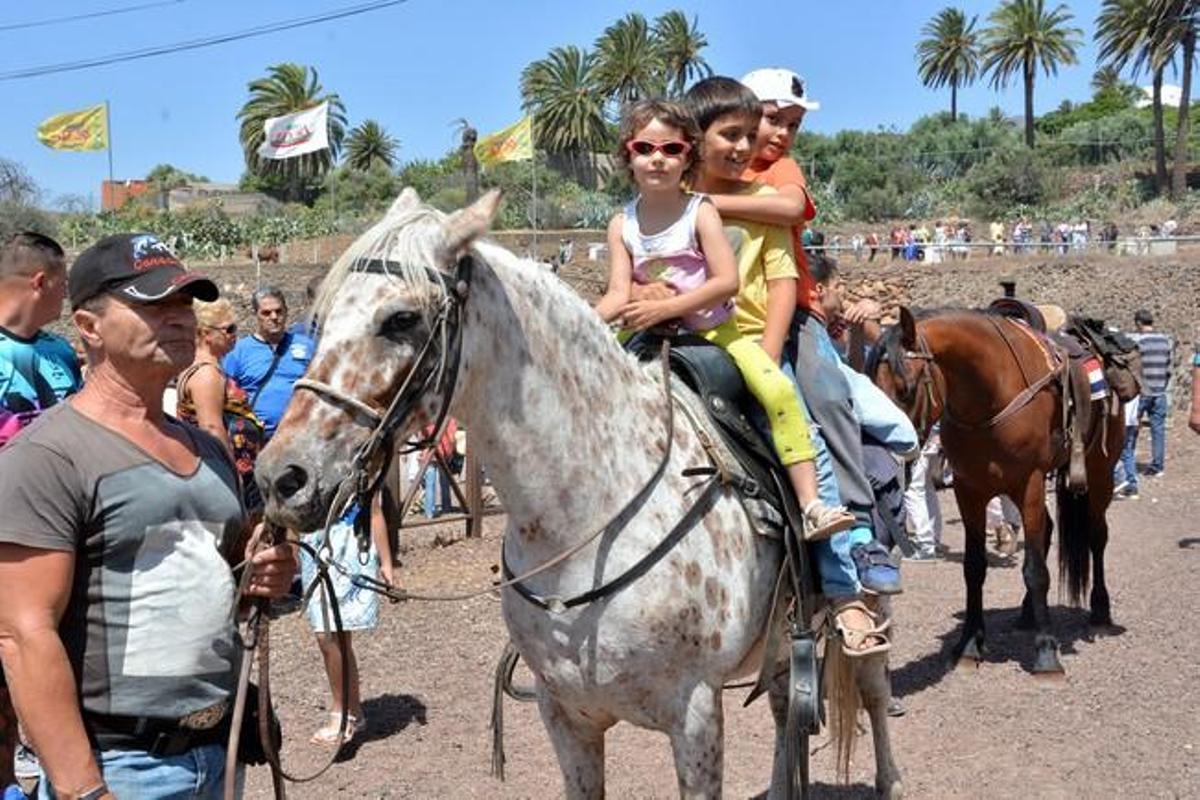FIESTAS DE SAN PEDRO INGENIO FIESTAS DE SAN PEDRO INGENIO