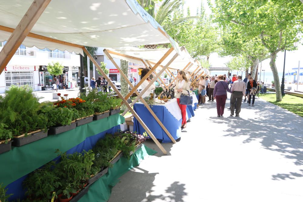 Productores locales, artesanos y músicos subrayan en Santa Eulària la importancia de respetar el planeta en nombre de las futuras generaciones.