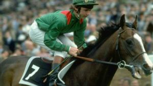 El caballo Shergar, en sus días de gloria.