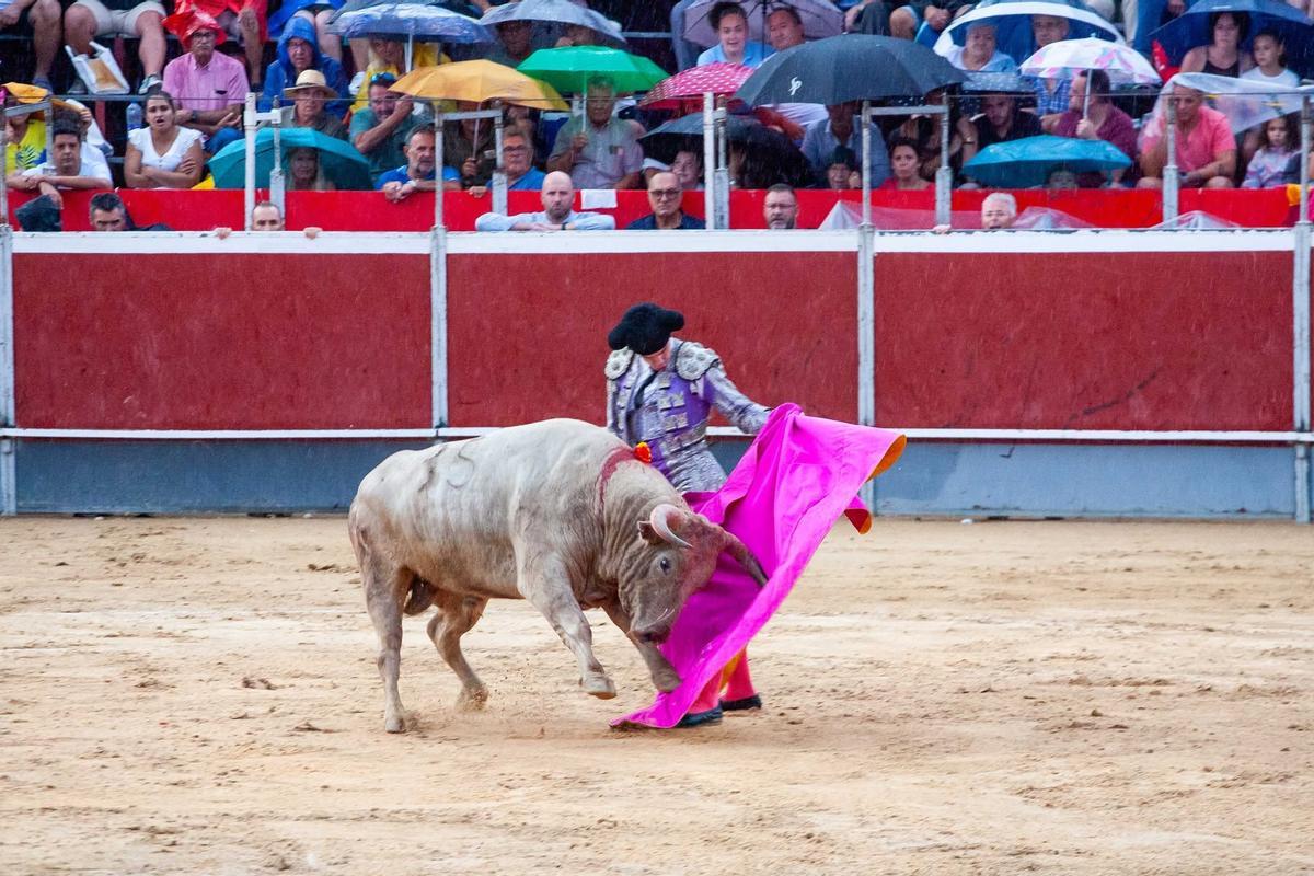 La Feria Taurina del Arroz reunirá a destacados novilleros.