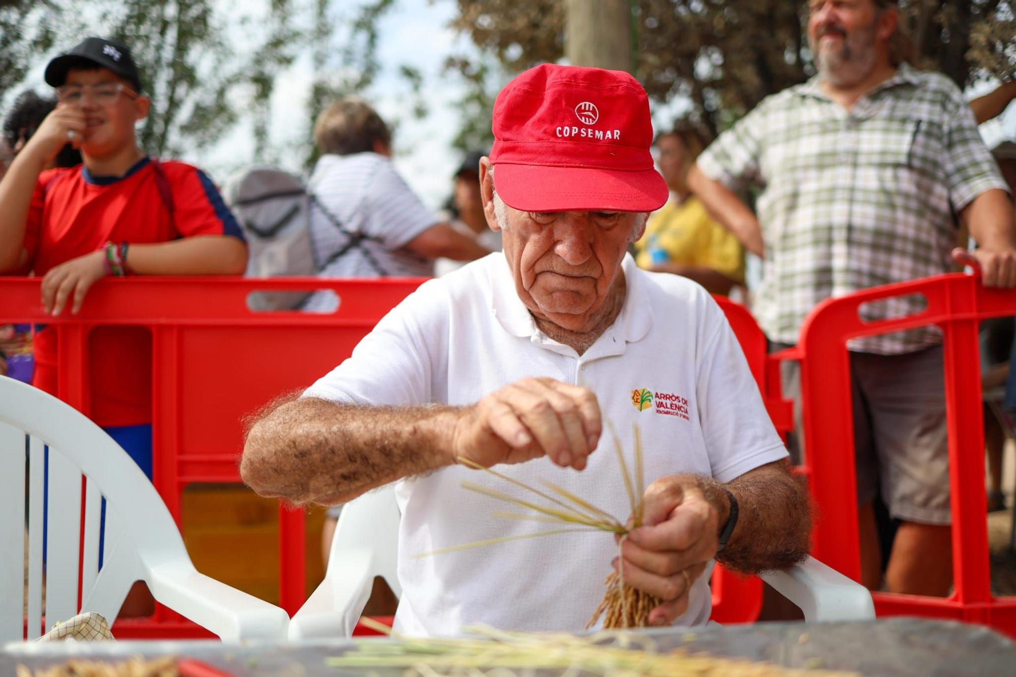 El puerto de Catarroja reúne a 5.000 personas en la Fiesta de la siega del arroz
