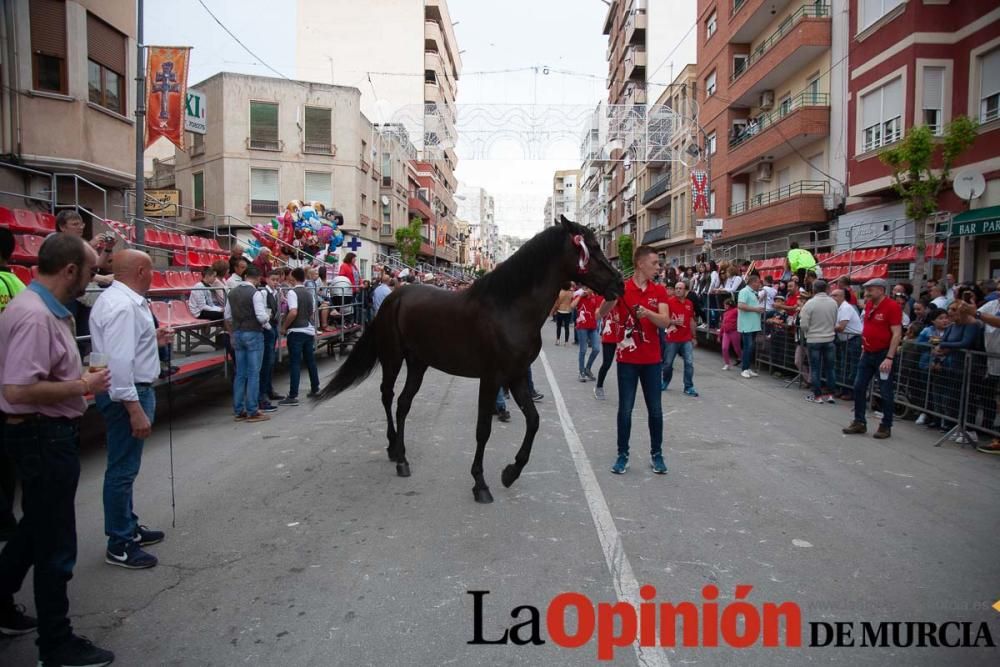 Caballos del Vino: Concurso morfológico (salida Pl