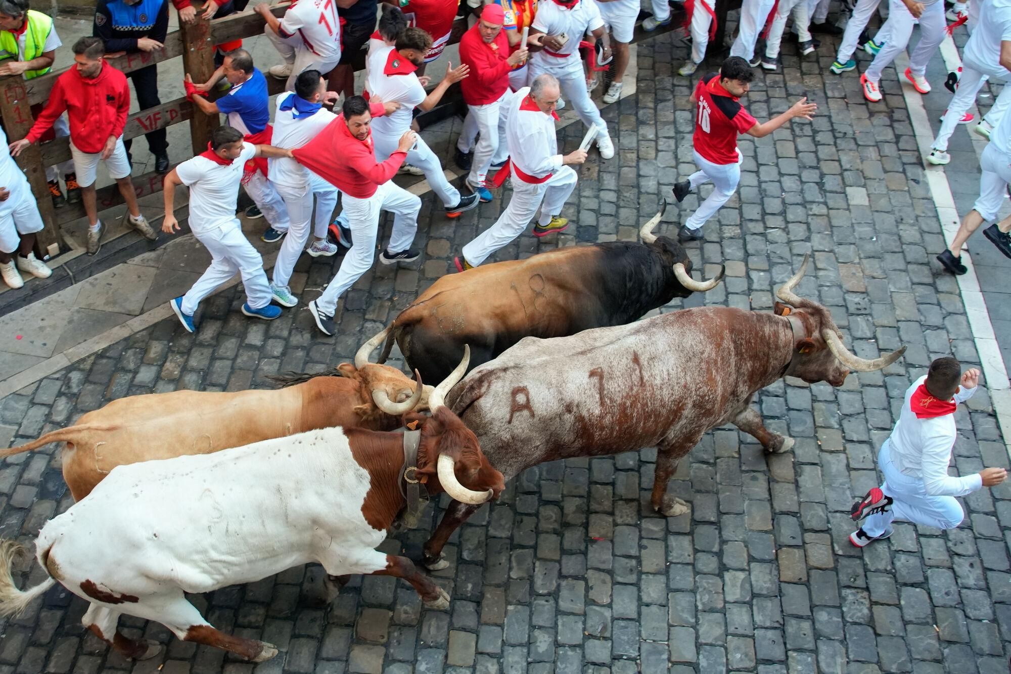 PAMPLONA, 09/07/2025.- Los mozos son perseguidos por los toros de la ganadería Álvaro Núñez durante el tercer encierro de los Sanfermines 2025 este miércoles en Pamplona. EFE/Ainhoa Tejerina