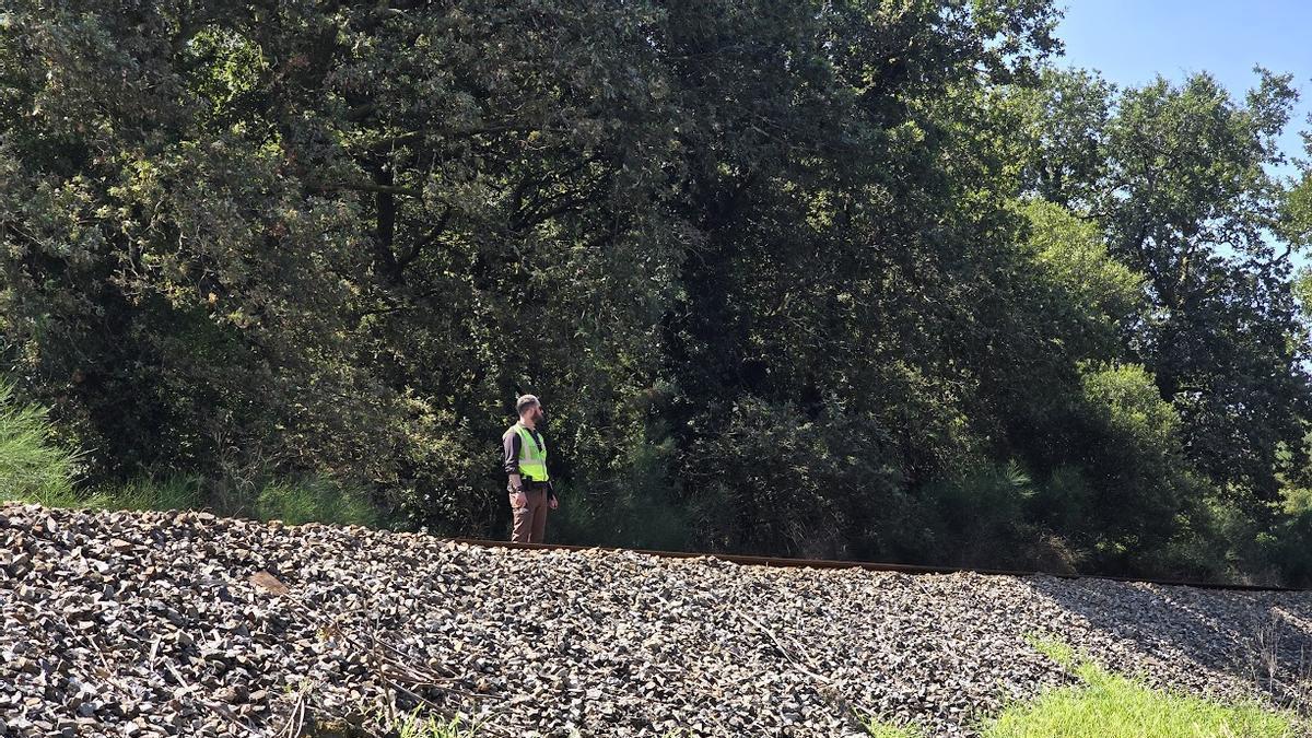 Un vigilante durante la Romaría Vikinga sobre la vía, donde se instalará un vallado perimetral destinado a impedir cruces indebidos de peatones.