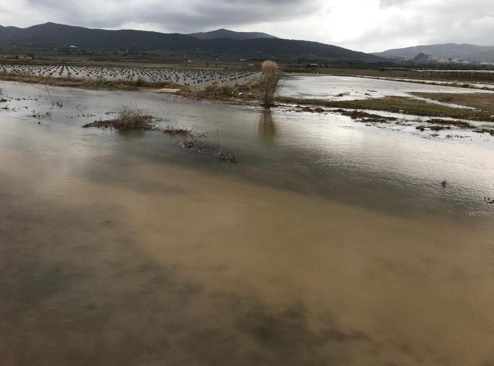 Los campos del Alto Vinalopó inundados por las aguas de la borrasca Celia.