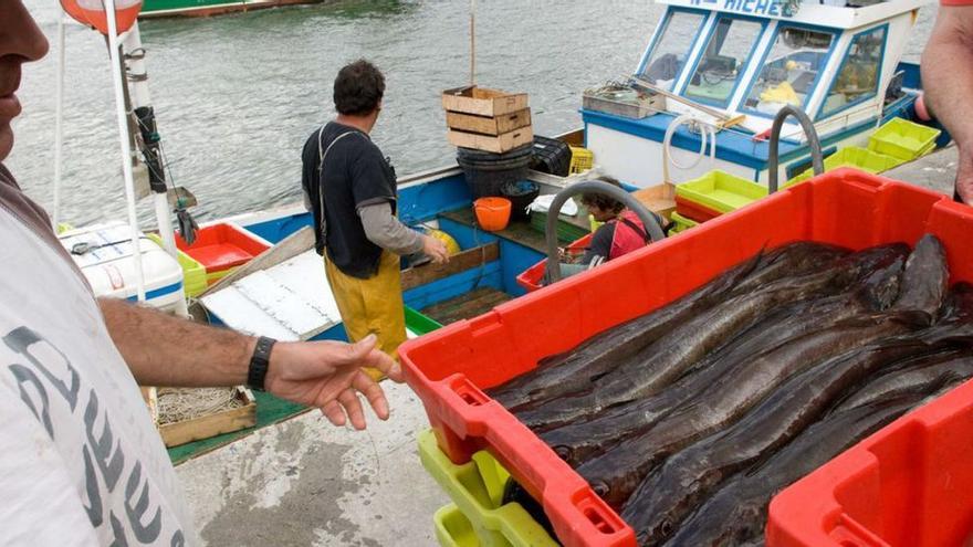 Una pasada descarga de cajas de merluzas “del pincho” en el muelle pesquero de Avilés.