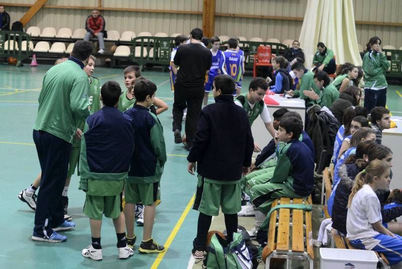 BALONCESTO: El Olivar - La Salle (Alevín B)