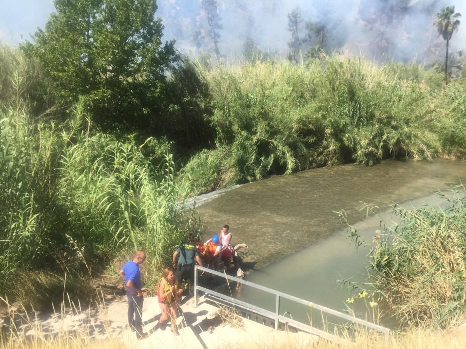 Un incendio forestal en el Menjú de Cieza rodea un