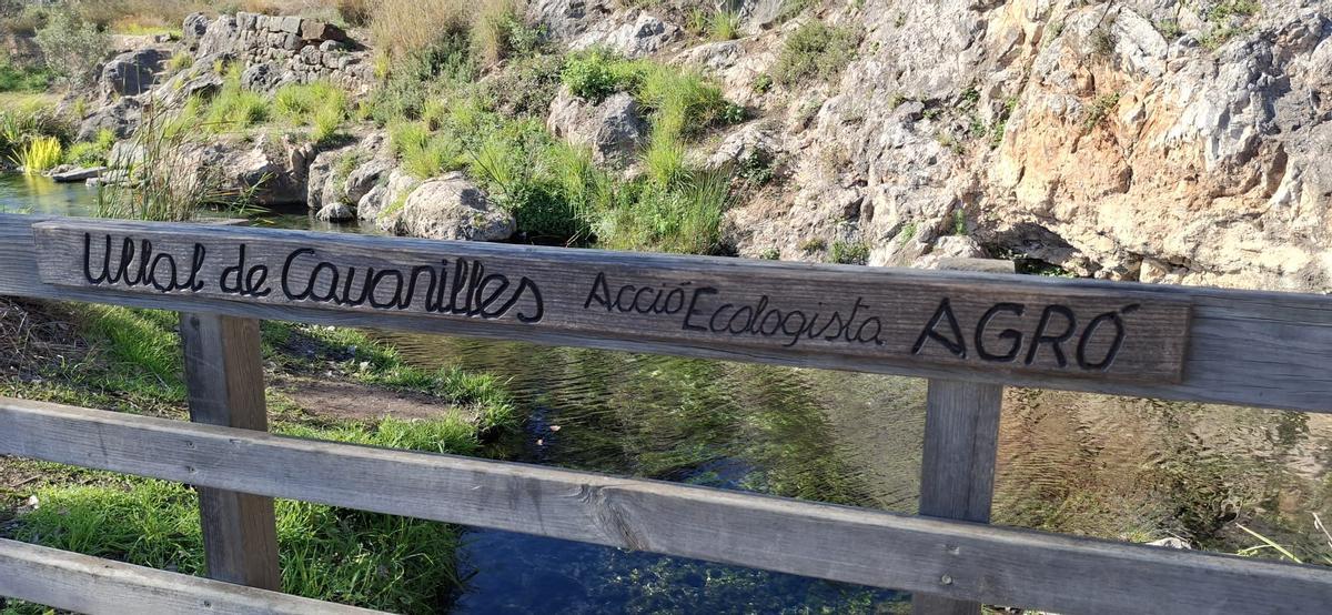 Un recorregut pels indrets més emblemàtics dels Estanys d’Almenara.