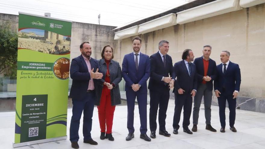 Peste porcina africana: la Junta pide a los ganaderos de Córdoba extremar las medidas de bioseguridad