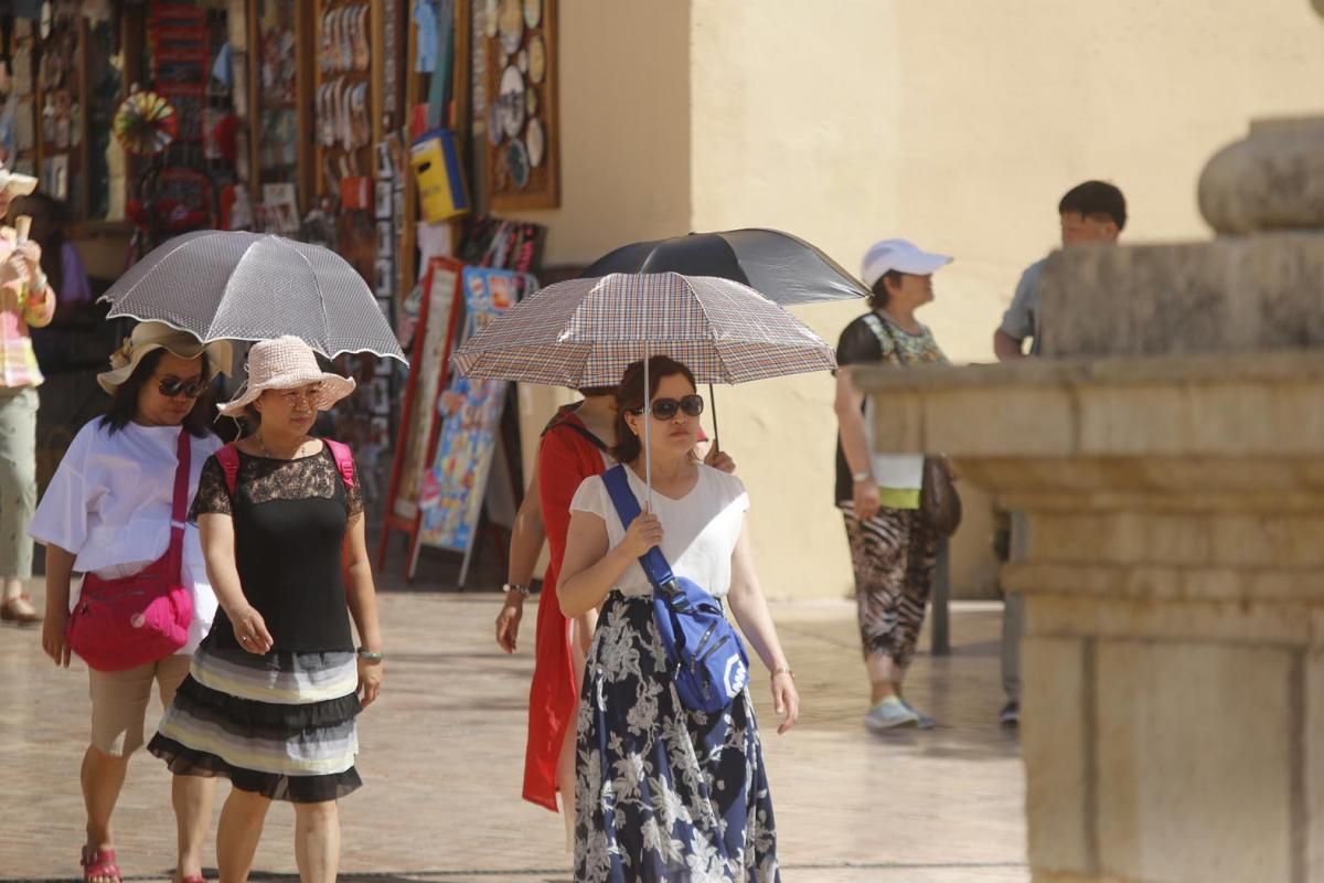 Los termómetros rozan los primeros 40 del verano.