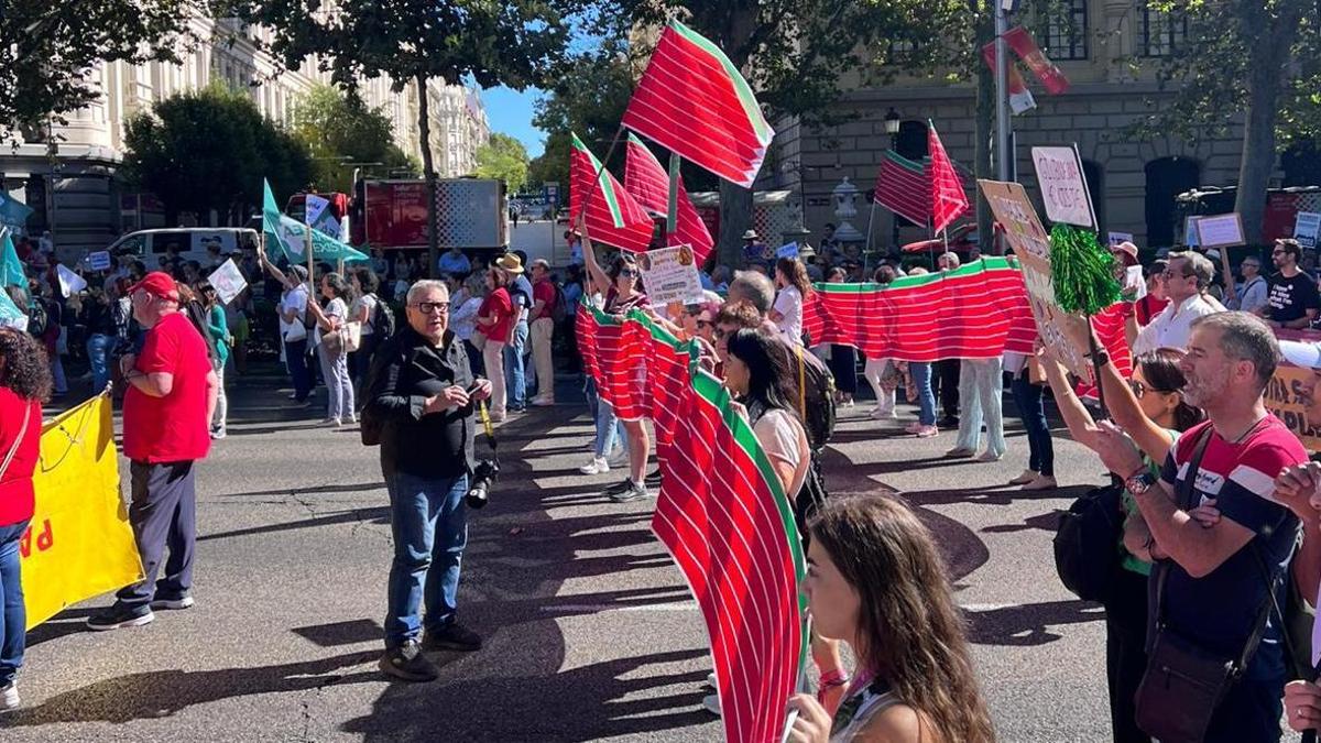 Miembros de la Coordinadora Rural Zamora, en la última manifestación celebrada en Madrid