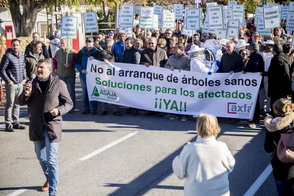 Agricultores de la provincia se manifiestan contra el plan de erradicación de la Xylella del Consell