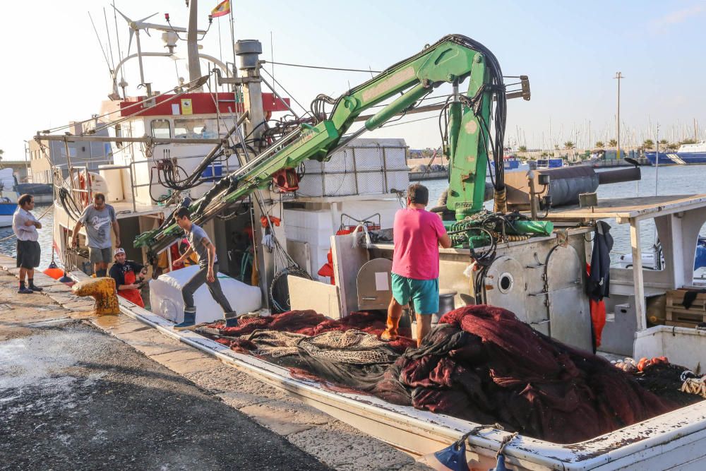 Jornadas Profesionales de Pesca Turismo en Torrevieja