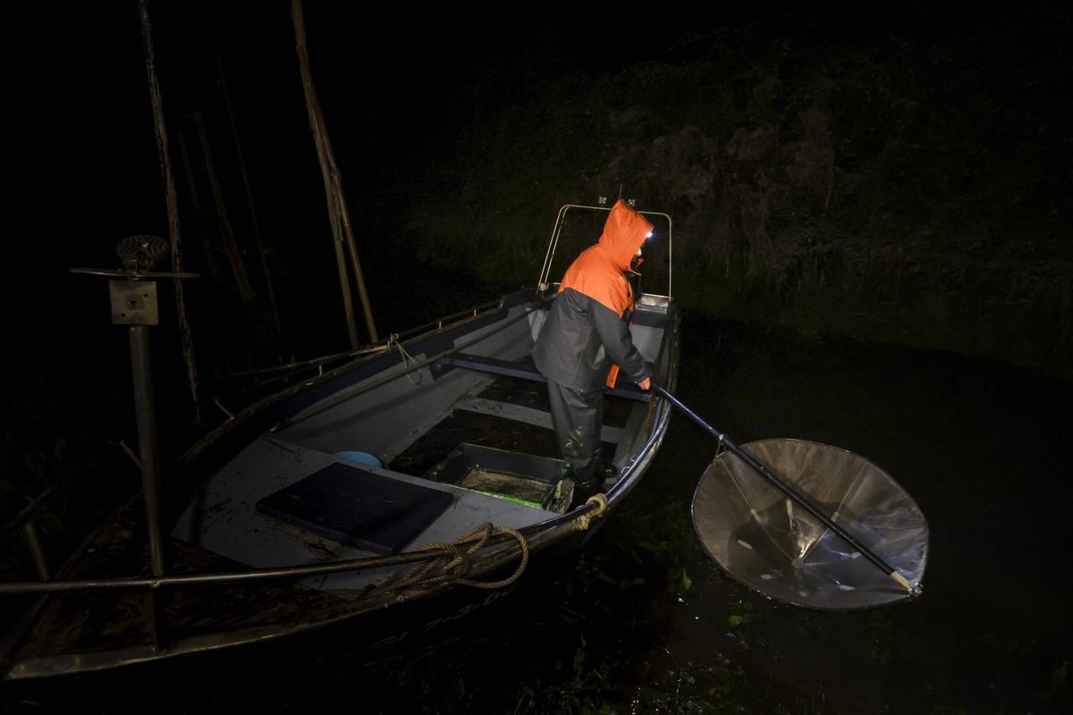 Las solitarias y duras noches de los anguleros de Asturias