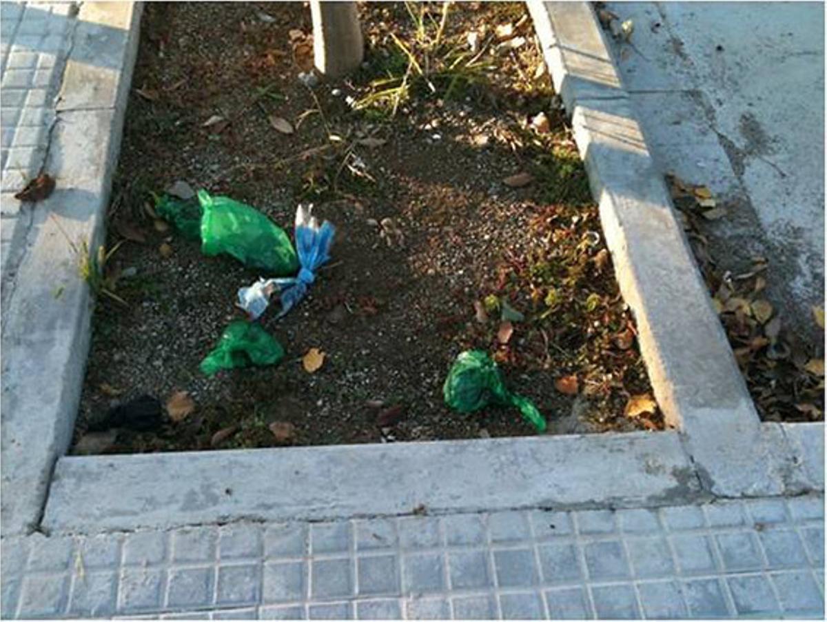 Aquí no van les bosses d’excrements. En època de bolets, a Esparreguera ha aparegut una nova espècie. Es diu Bossix excrementix, però fa pudor i és molt tòxica. Surt als escocells dels arbres d’un carrer nou de la localitat, entrant per la carretera de Barcelona, a l’esquerra. Tot i que encara no hi ha vivendes en aquesta via, ¿no hi ha contenidors per tirar les deposicions dels gossos? La societat avança, però això demostra que queda molt per fer.