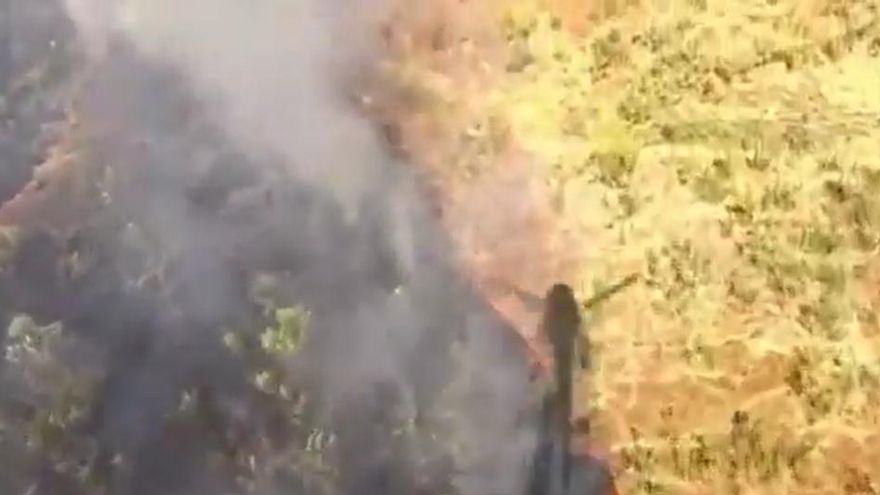 Video | Incendio forestal en Plasencia