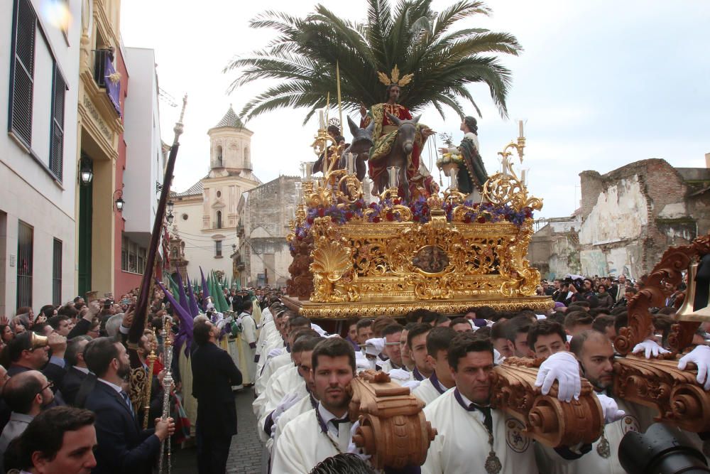 Domingo de Ramos | Pollinica