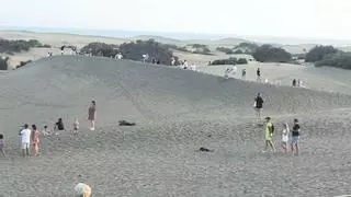 Desmadre en las Dunas de Maspalomas