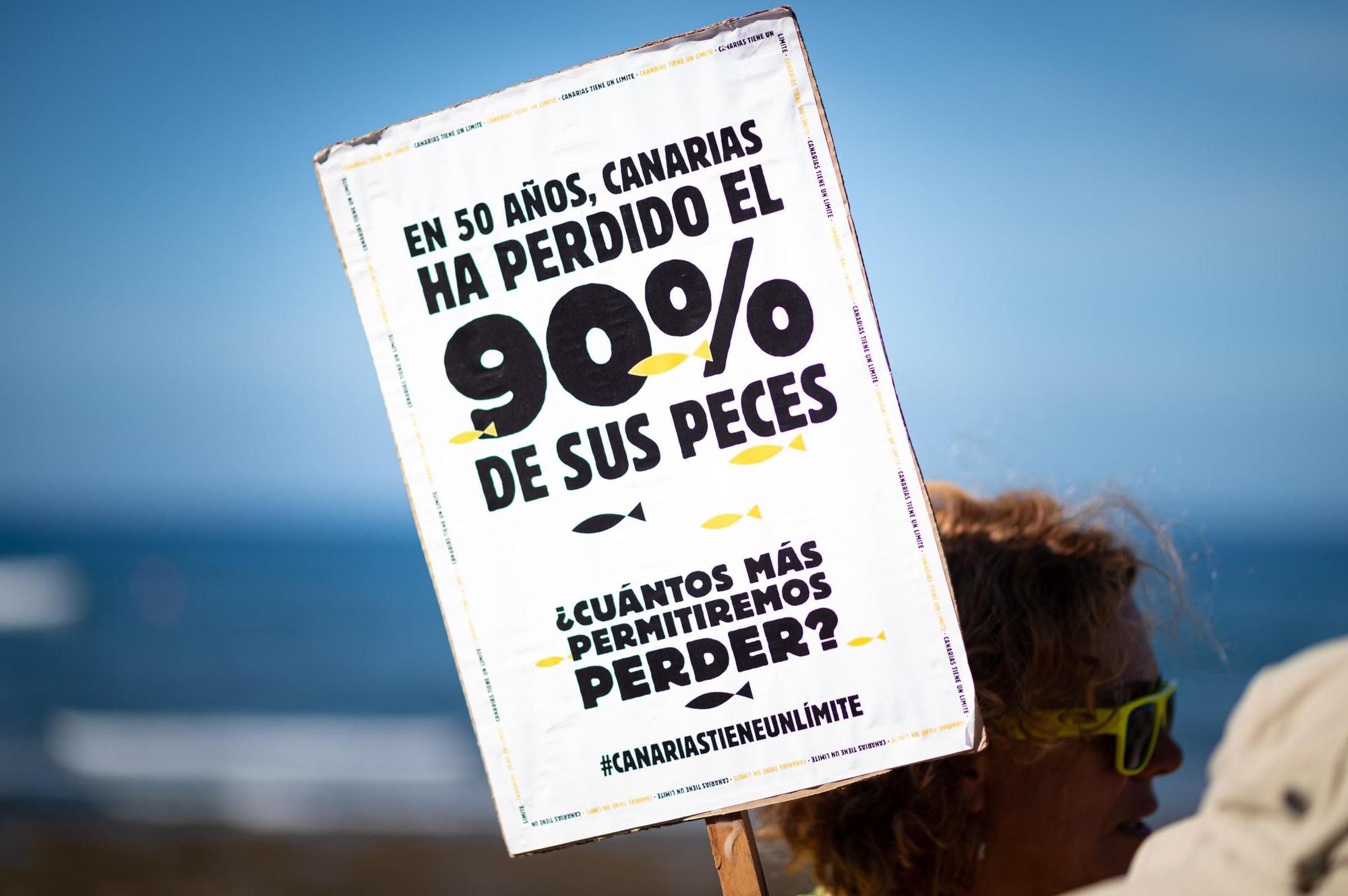Todas las imágenes de la manifestación del 20-O en Tenerife