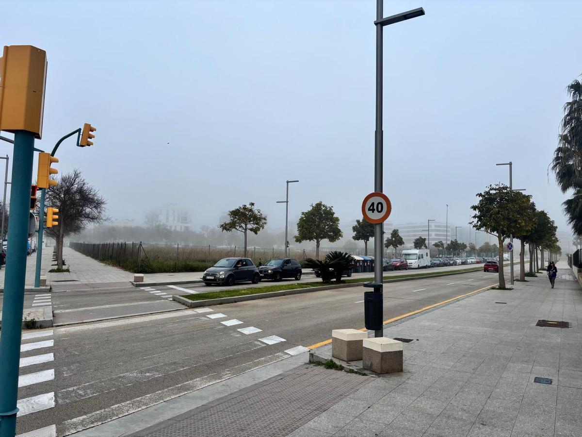 Las imágenes de la niebla en Palma