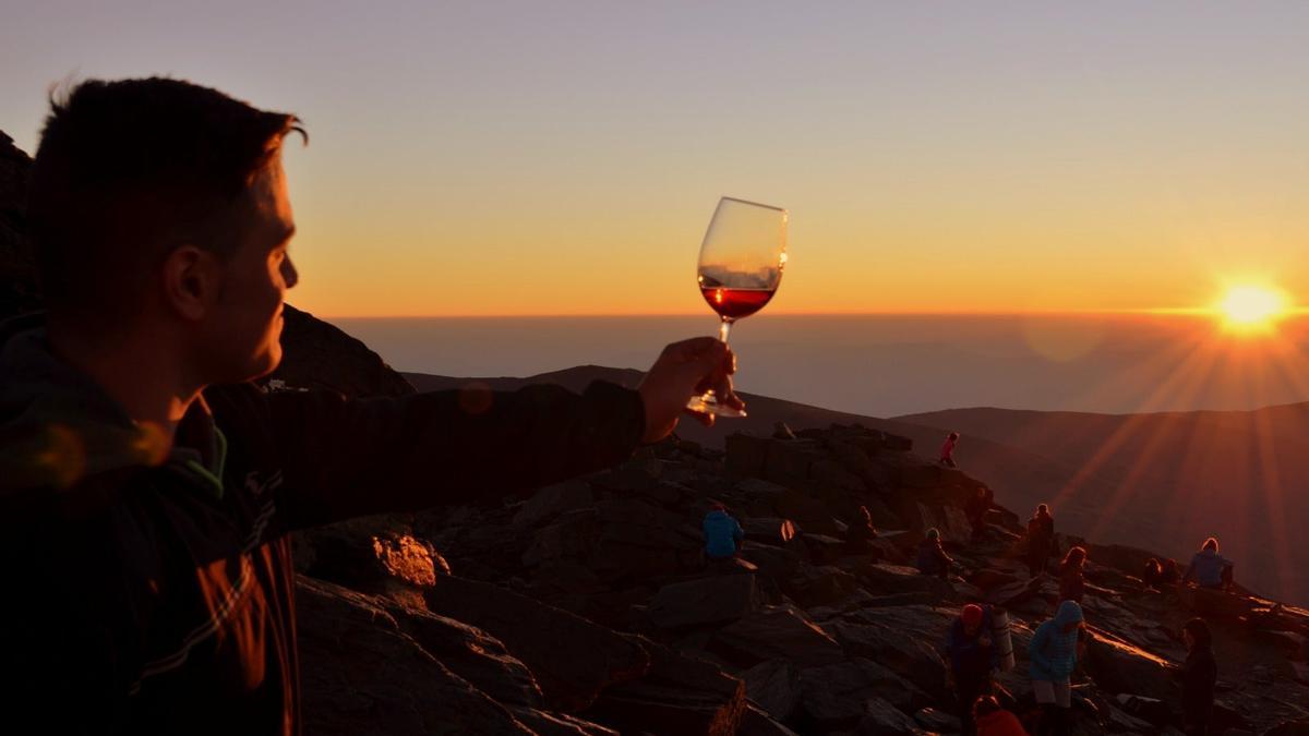 brindis al sol, viñedos, granada