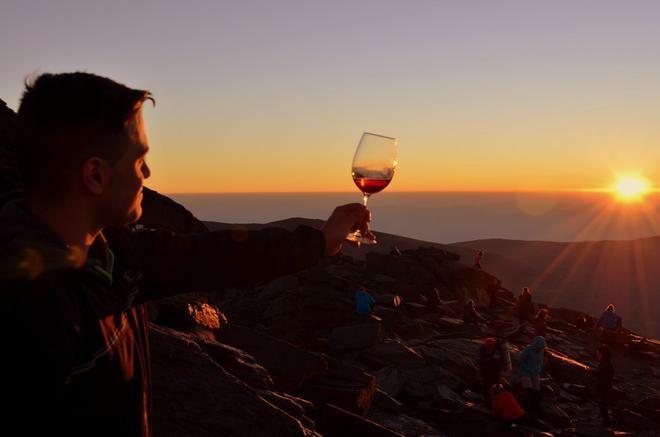 brindis al sol, viñedos, granada