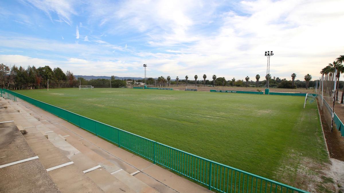 Vista del césped del campo 1 de la Ciudad Deportiva, lugar habitual de entrenamiento del Córdoba CF.