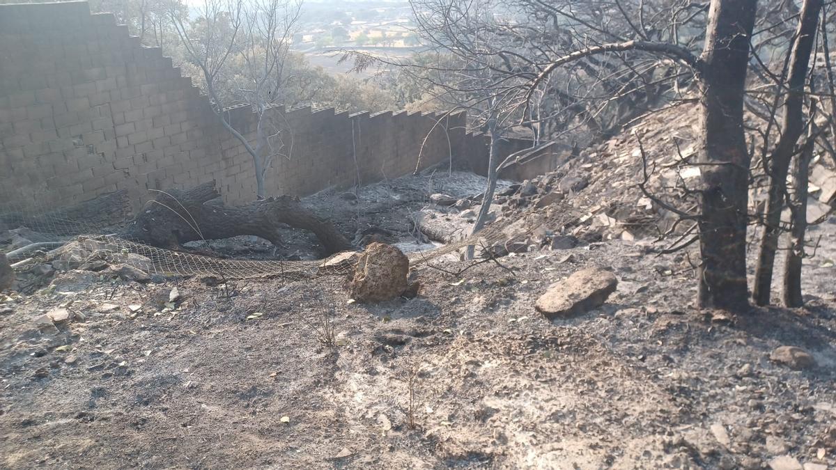Fotogalería | Los vecinos vuelven a sus casas: así ha quedado Villar de Plasencia