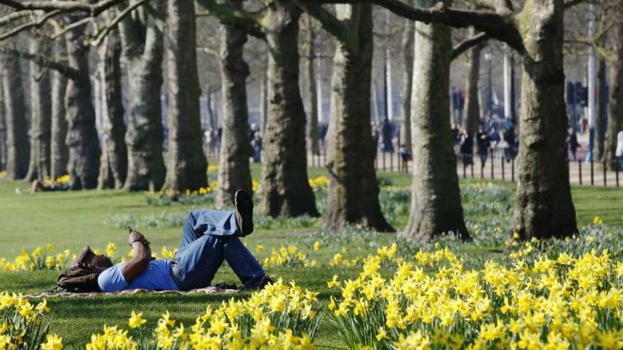Un hombre se relaja en un parque.