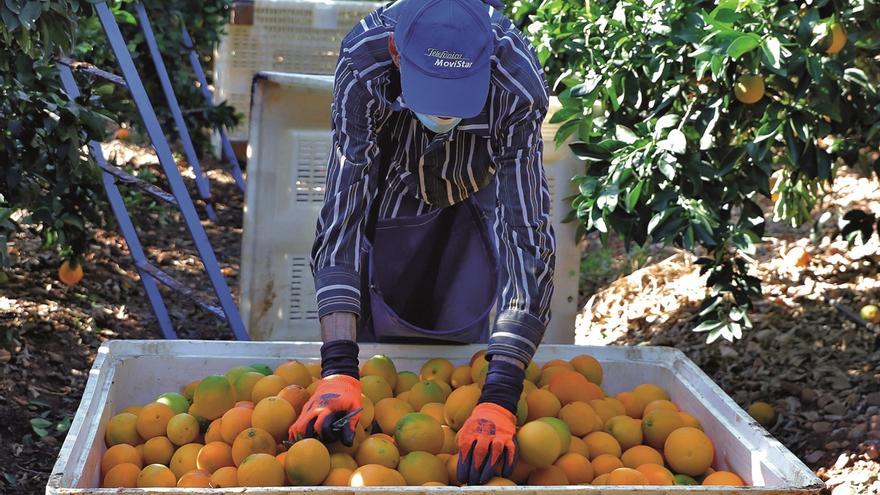 Menos naranja  pero con más valor