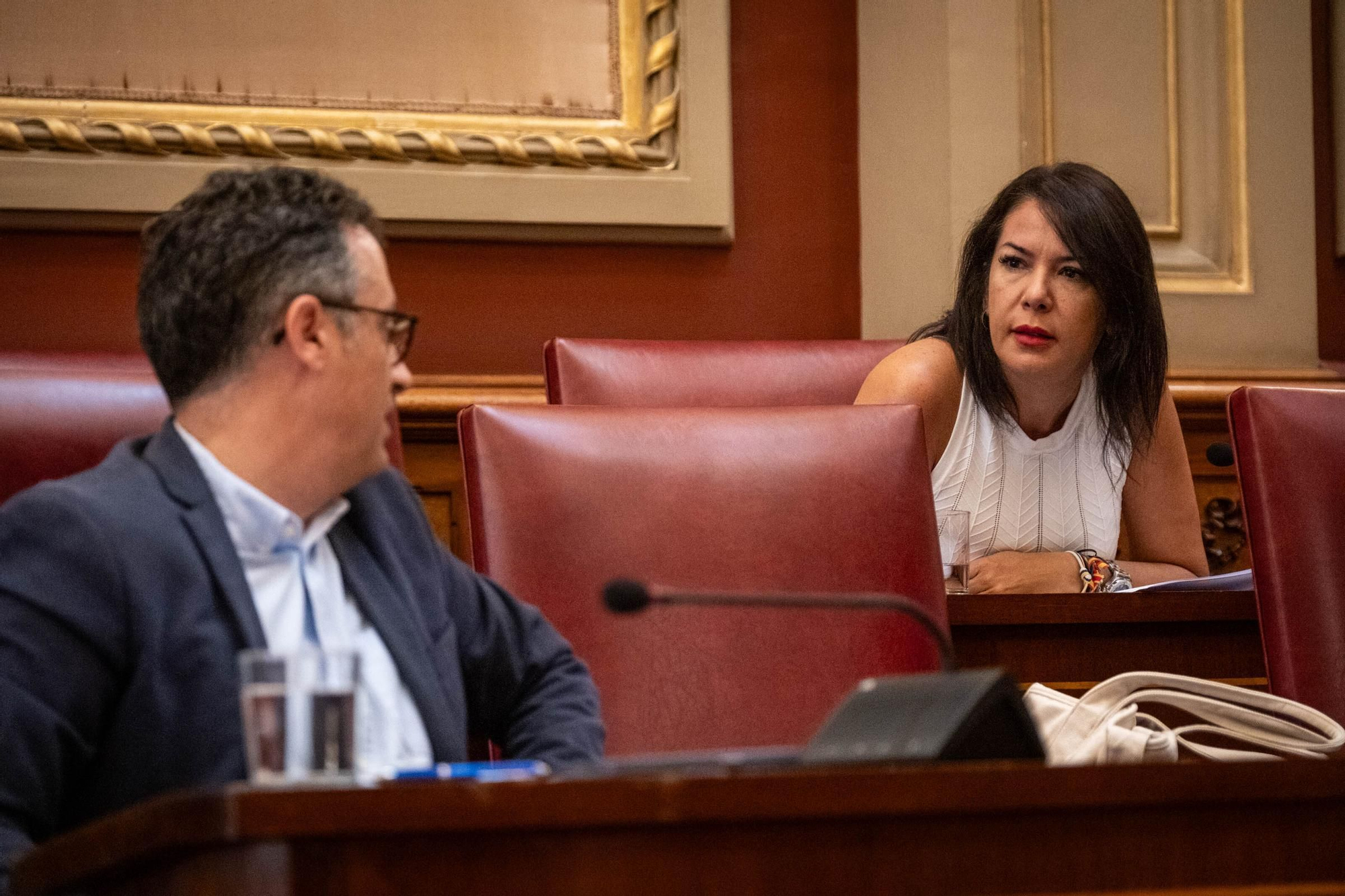Comisión de control del Ayuntamiento de Santa Cruz de Tenerife